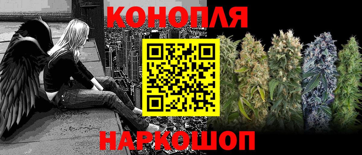 Междуреченск  Конопля OG Kush  Вход с VPN  Шишки марихуана планчик  Бошки марихуана тримм  Конопля сатива 