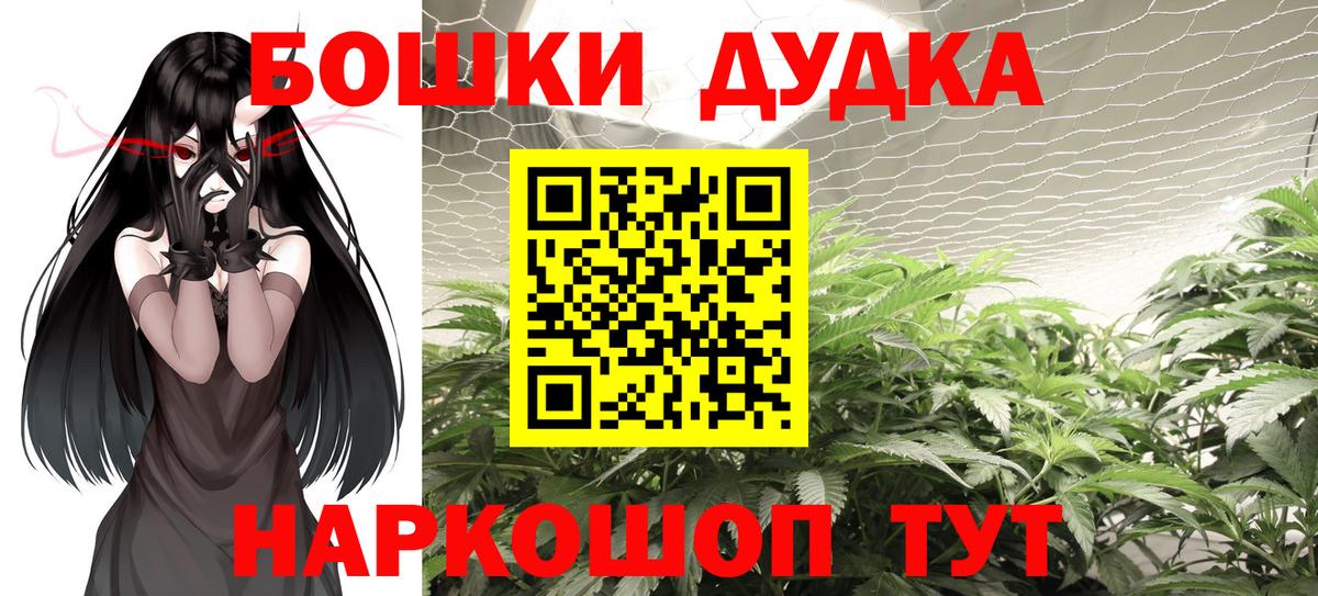 Конопля гибрид Междуреченск